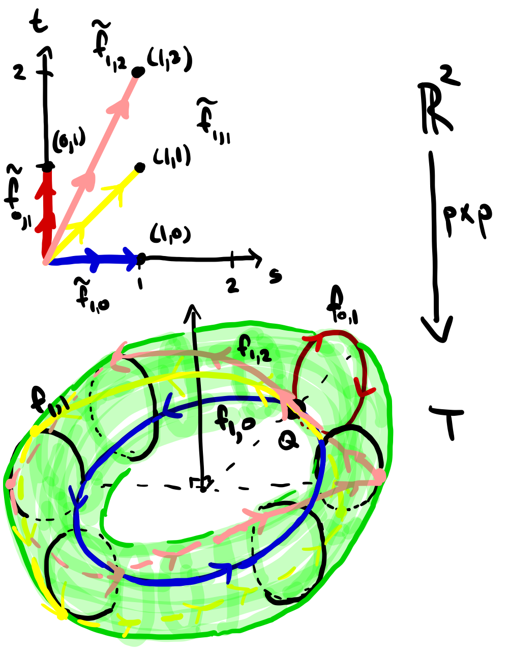 Some loops on the torus